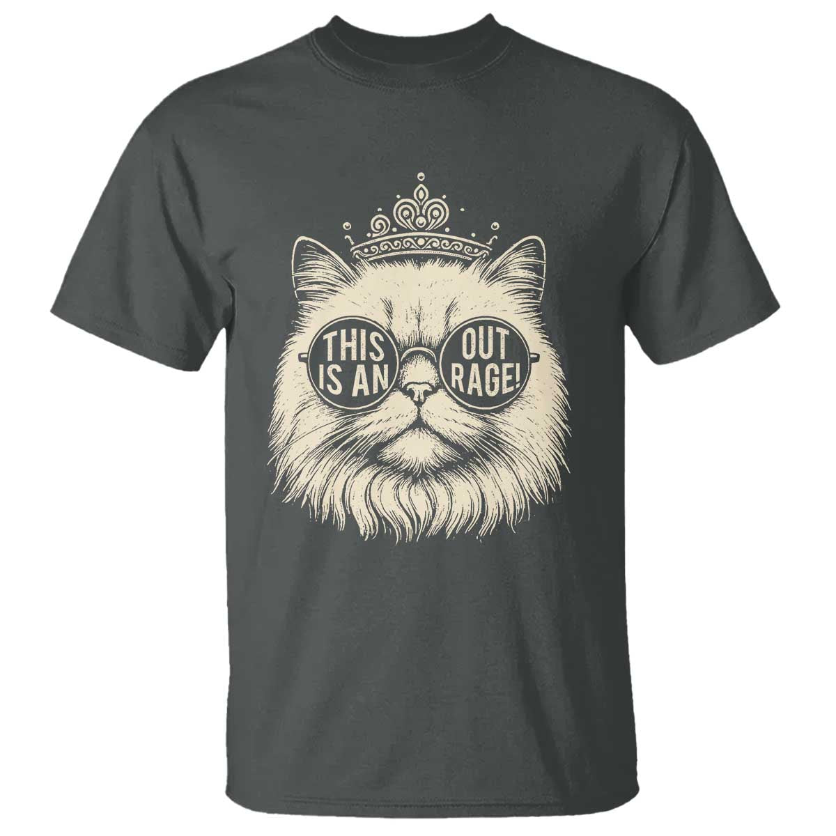Dungeon Cat This Is An Outrage T Shirt Funny Princess Kitten TS11 Dark Heather Print Your Wear
