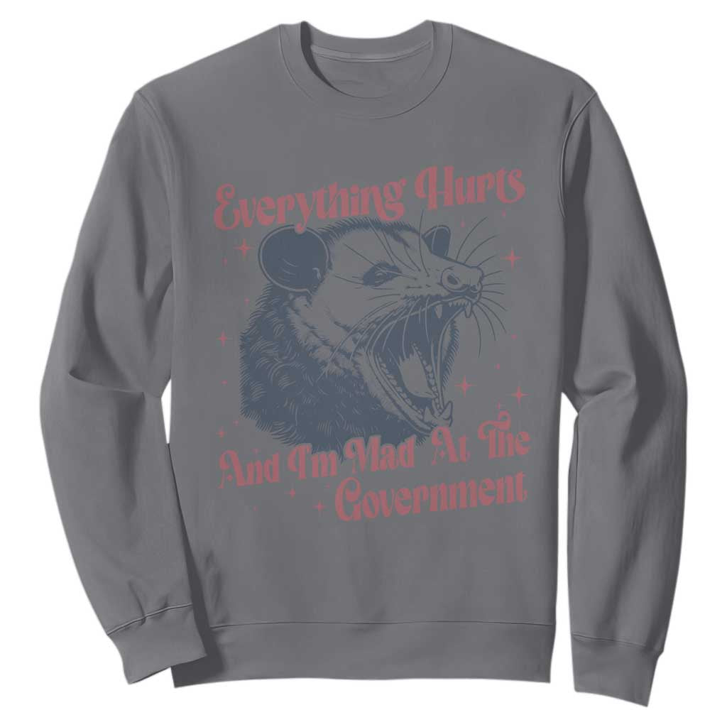 Everything Hurts And I Am Mad At The Government Sweatshirt Funny Burnout Possum TS11 Charcoal Print Your Wear