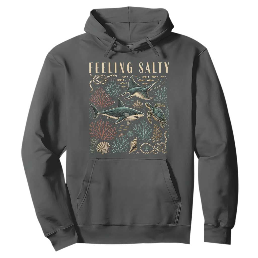 Feeling Salty Shark Lover Vintage Ocean Life Hoodie TS11 Dark Heather Print Your Wear