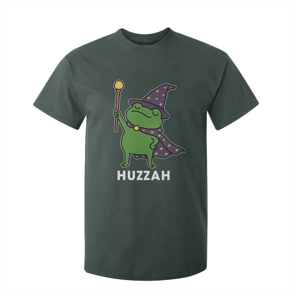 Funny Huzzah Wizard Frog T Shirt For Kid Renaissance Meme RPG Gamers