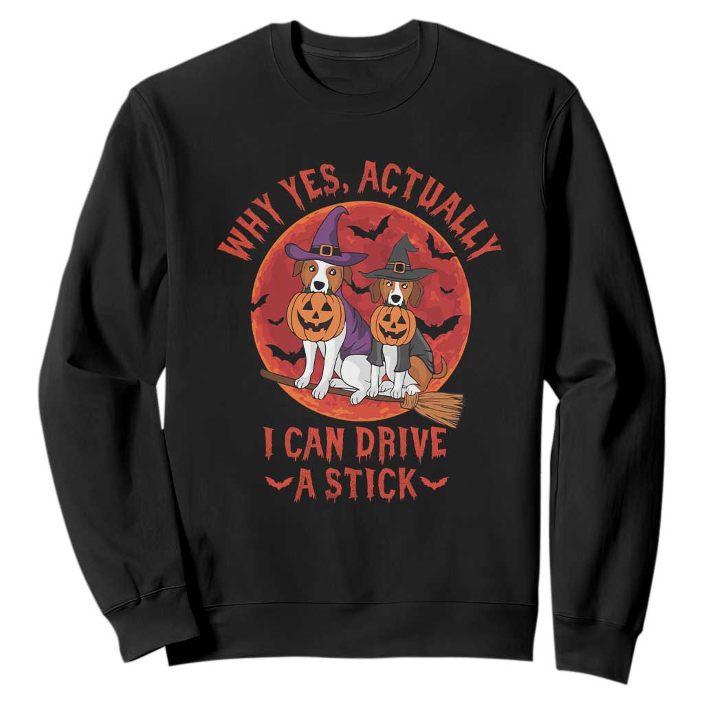 Funny Halloween Dog Sweatshirt Why Yes Actually I Can Drive A Stick Witch TS11 Black Print Your Wear