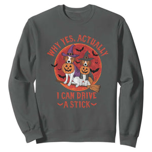 Funny Halloween Dog Sweatshirt Why Yes Actually I Can Drive A Stick Witch TS11 Dark Heather Print Your Wear