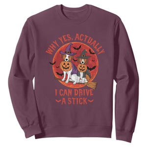 Funny Halloween Dog Sweatshirt Why Yes Actually I Can Drive A Stick Witch TS11 Maroon Print Your Wear