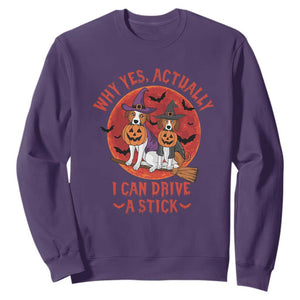 Funny Halloween Dog Sweatshirt Why Yes Actually I Can Drive A Stick Witch TS11 Purple Print Your Wear