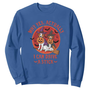 Funny Halloween Dog Sweatshirt Why Yes Actually I Can Drive A Stick Witch TS11 Royal Blue Print Your Wear