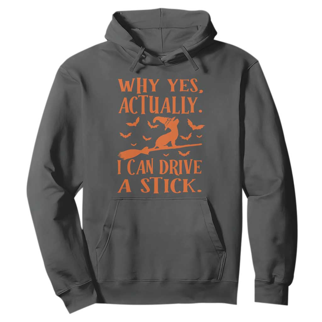 Halloween Dog Hoodie Why Yes Actually I Can Drive A Stick Witch TS11 Dark Heather Print Your Wear