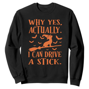 Halloween Dog Sweatshirt Why Yes Actually I Can Drive A Stick Witch TS11 Black Print Your Wear