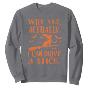 Halloween Dog Sweatshirt Why Yes Actually I Can Drive A Stick Witch TS11 Charcoal Print Your Wear