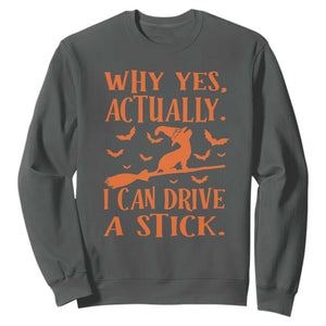 Halloween Dog Sweatshirt Why Yes Actually I Can Drive A Stick Witch TS11 Dark Heather Print Your Wear