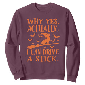 Halloween Dog Sweatshirt Why Yes Actually I Can Drive A Stick Witch TS11 Maroon Print Your Wear