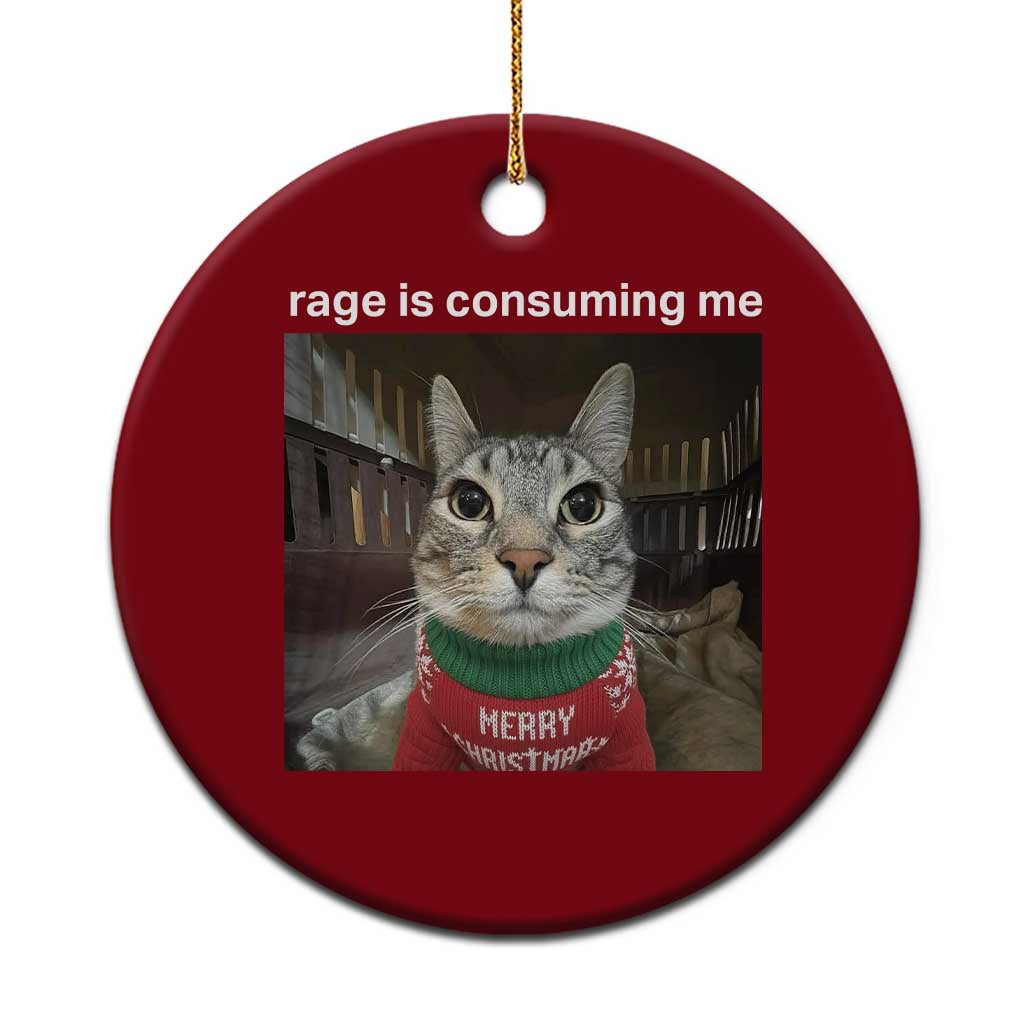 Rage Is Consuming Me Christmas Ceramic Ornament Funny Silly Staring Cat Meme Xmas Ugly Sweater TS11 1pc Red Print Your Wear