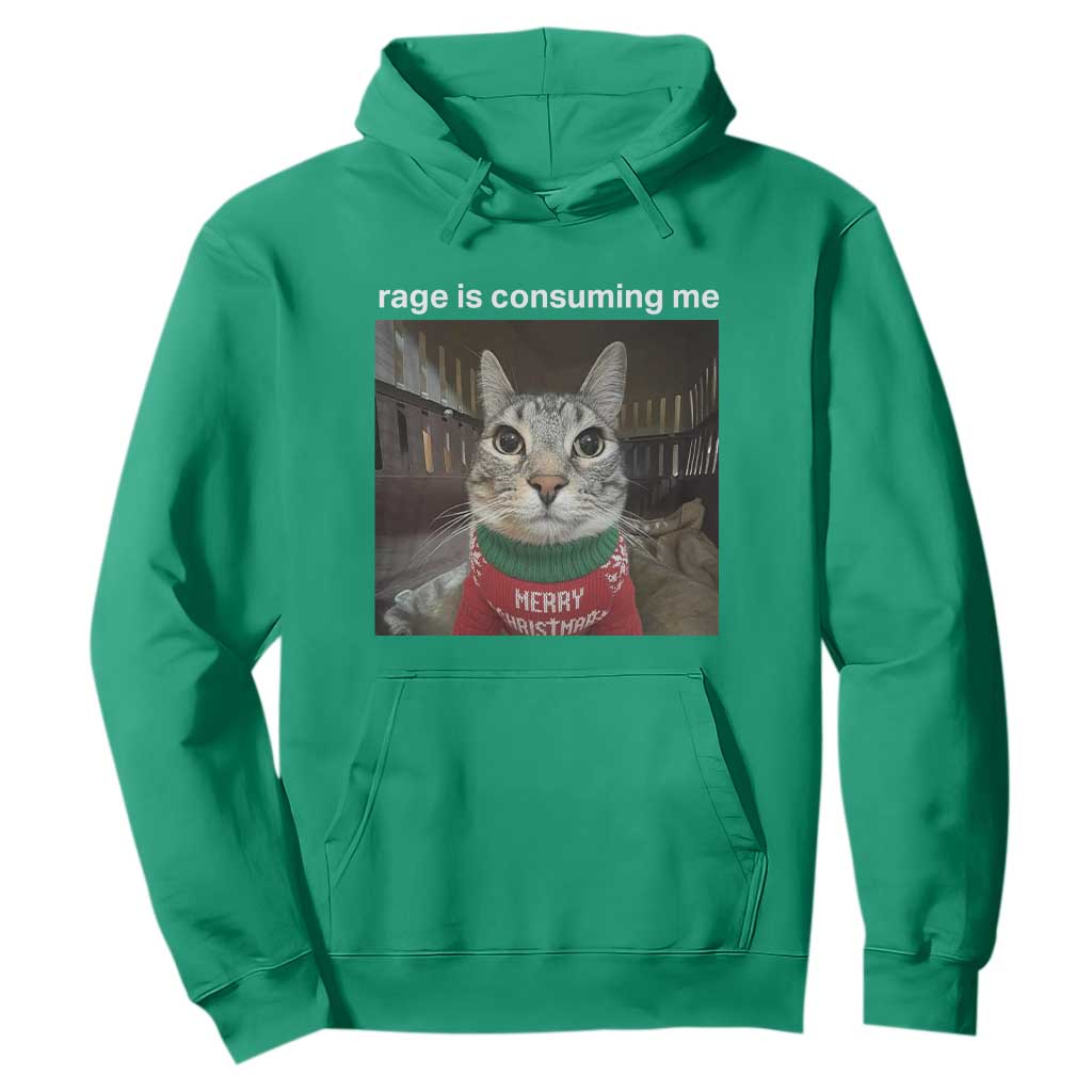 Rage Is Consuming Me Christmas Hoodie Funny Silly Staring Cat Meme Xmas Ugly Sweater TS11 Irish Green Print Your Wear