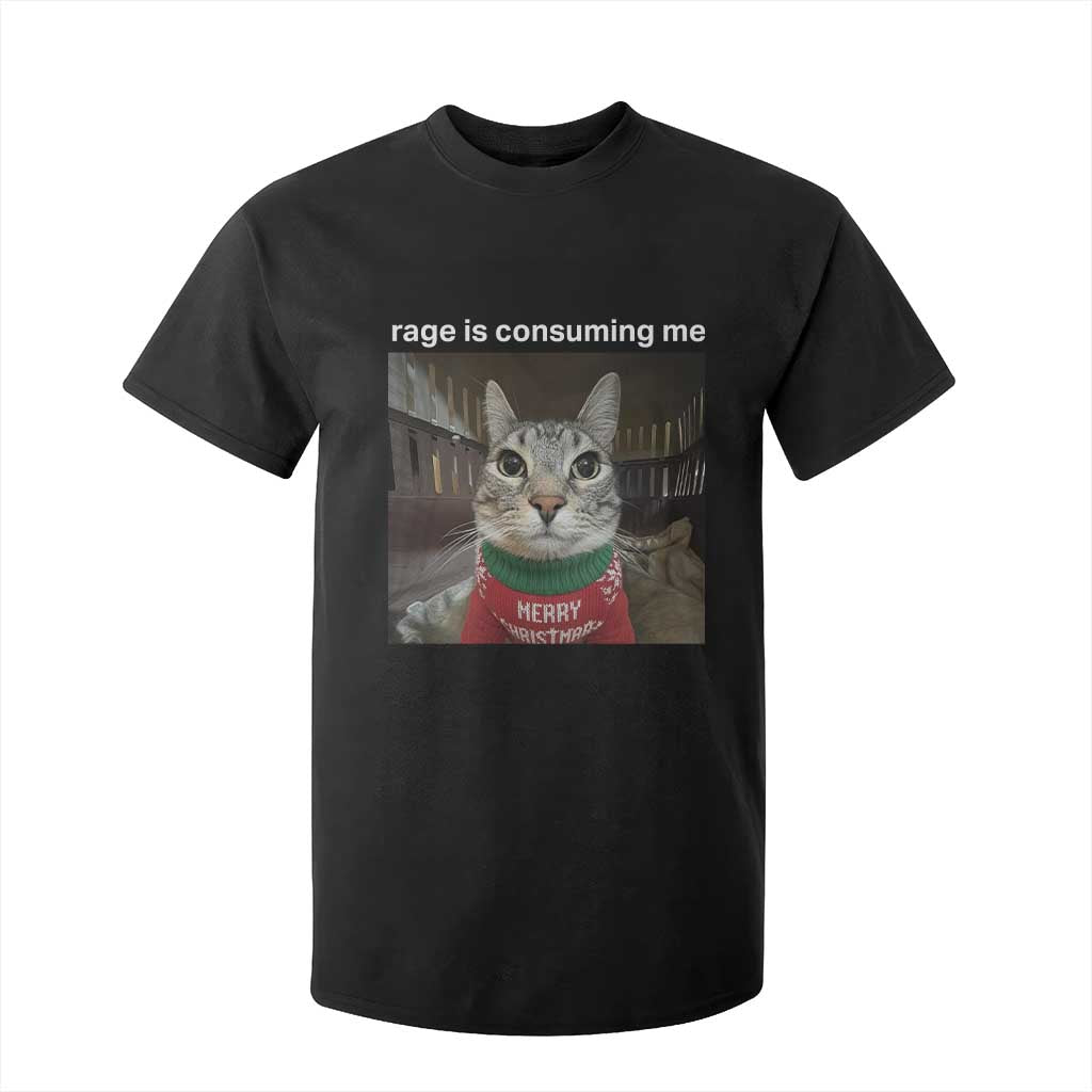 Rage Is Consuming Me Christmas T Shirt For Kid Funny Silly Staring Cat Meme Xmas Ugly Sweater TS11 Black Print Your Wear