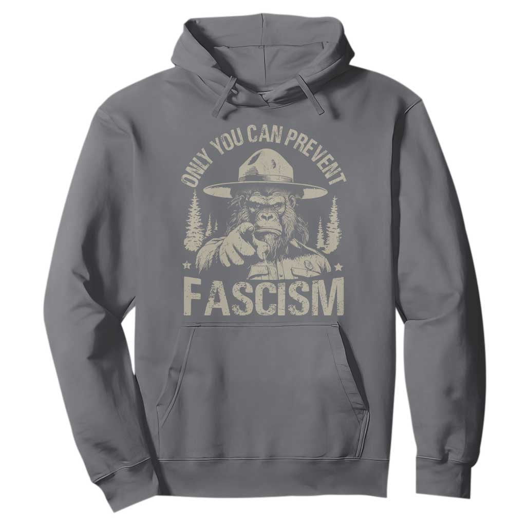 Save Our National Parks Bigfoot Hoodie Vintage Forest TS11 Charcoal Print Your Wear
