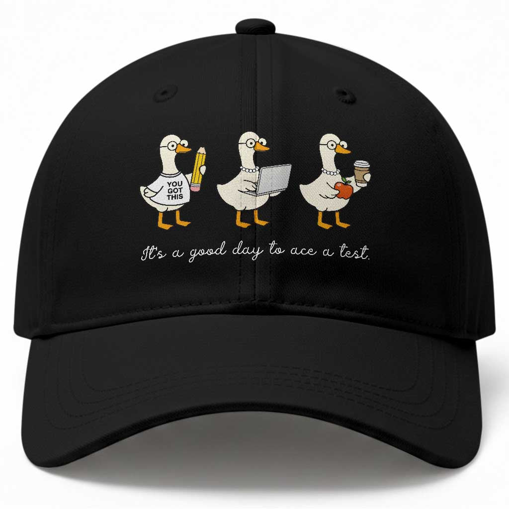 Silly Goose Test Day Baseball Cap It's A Good Day To Ace A Test Teacher Students TS11 Print Your Wear