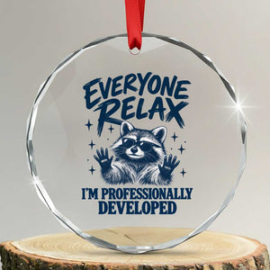 Everyone Relax I Am Professionally Developed Funny Raccoon Work Office Crystal Glass Ornament