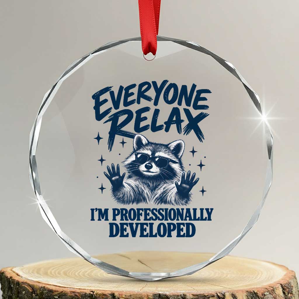 Everyone Relax I Am Professionally Developed Funny Raccoon Work Office Crystal Glass Ornament