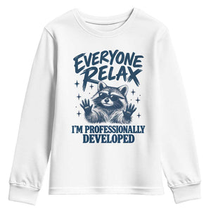 Everyone Relax I Am Professionally Developed Funny Raccoon Work Office Youth Sweatshirt