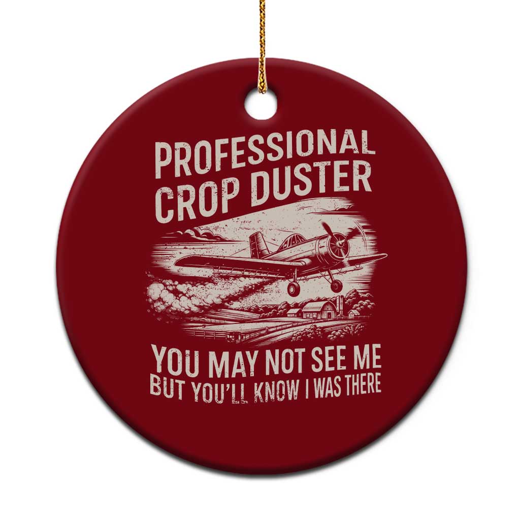 Funny Professional Crop Duster Fart Joke Dusting Airplane Ceramic Ornament
