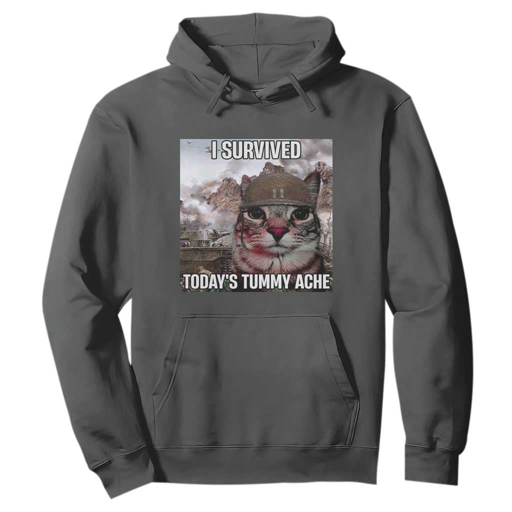 Funny I Survived Todays Tummy Ache Hoodie War Cat Meme TS11 Dark Heather Print Your Wear