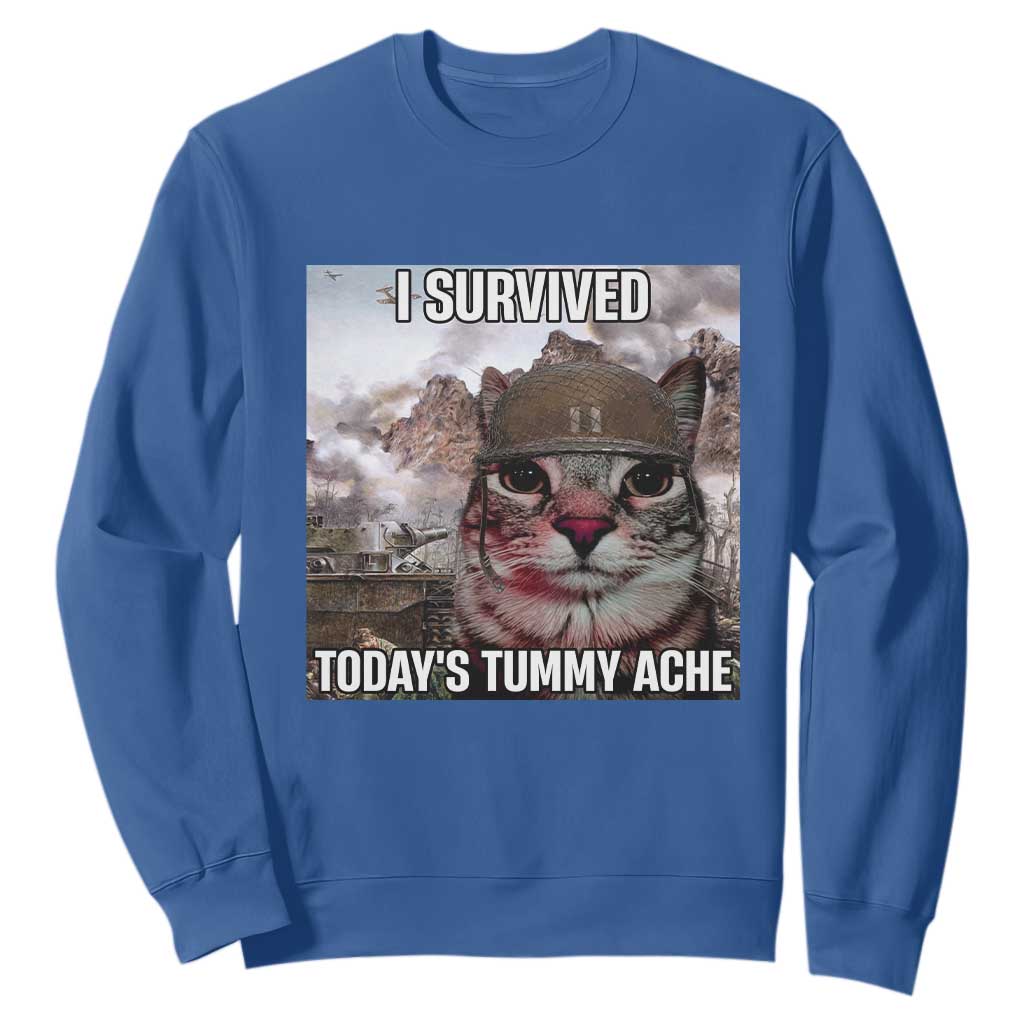 Funny I Survived Todays Tummy Ache Sweatshirt War Cat Meme TS11 Royal Blue Print Your Wear