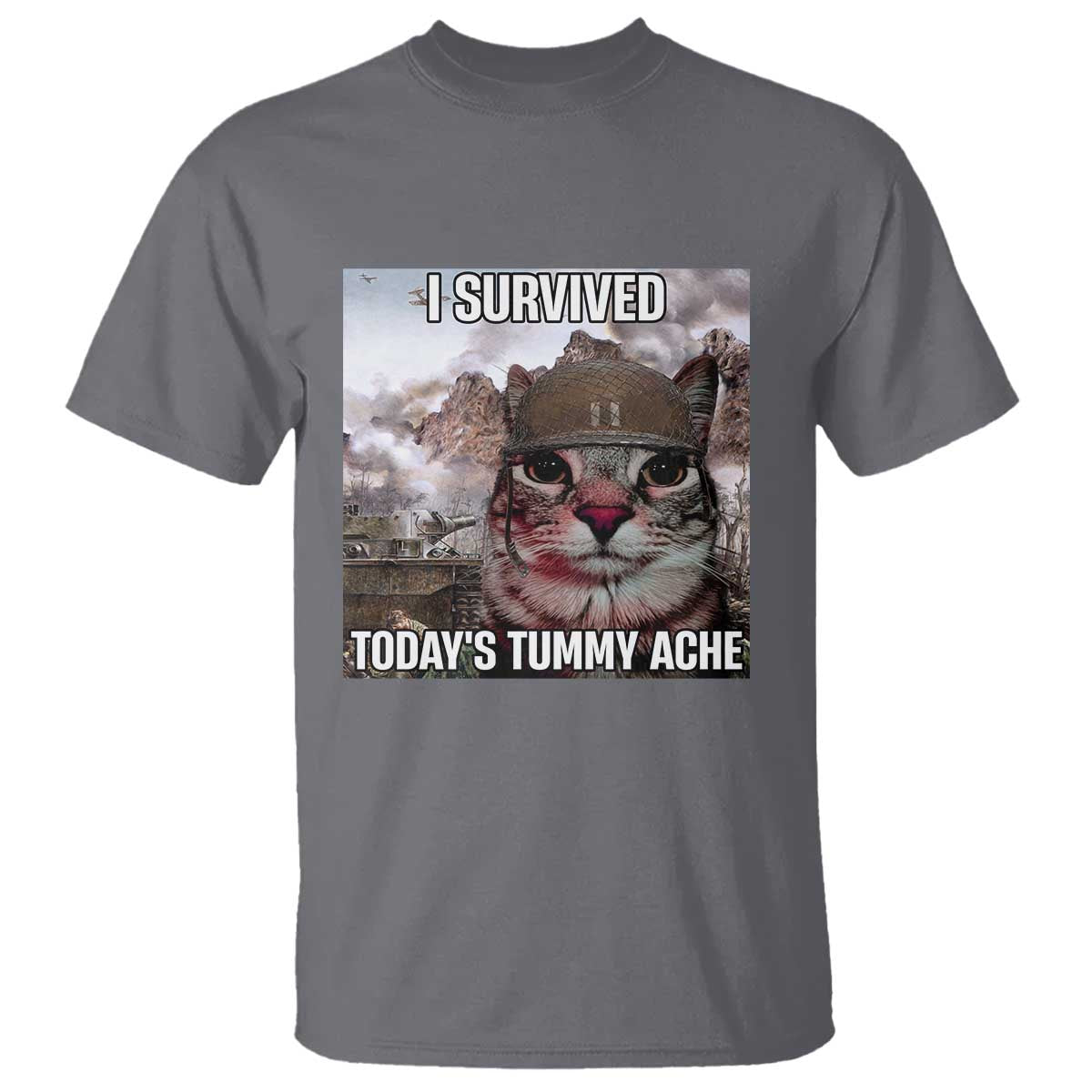 Funny I Survived Todays Tummy Ache T Shirt War Cat Meme TS11 Charcoal Print Your Wear