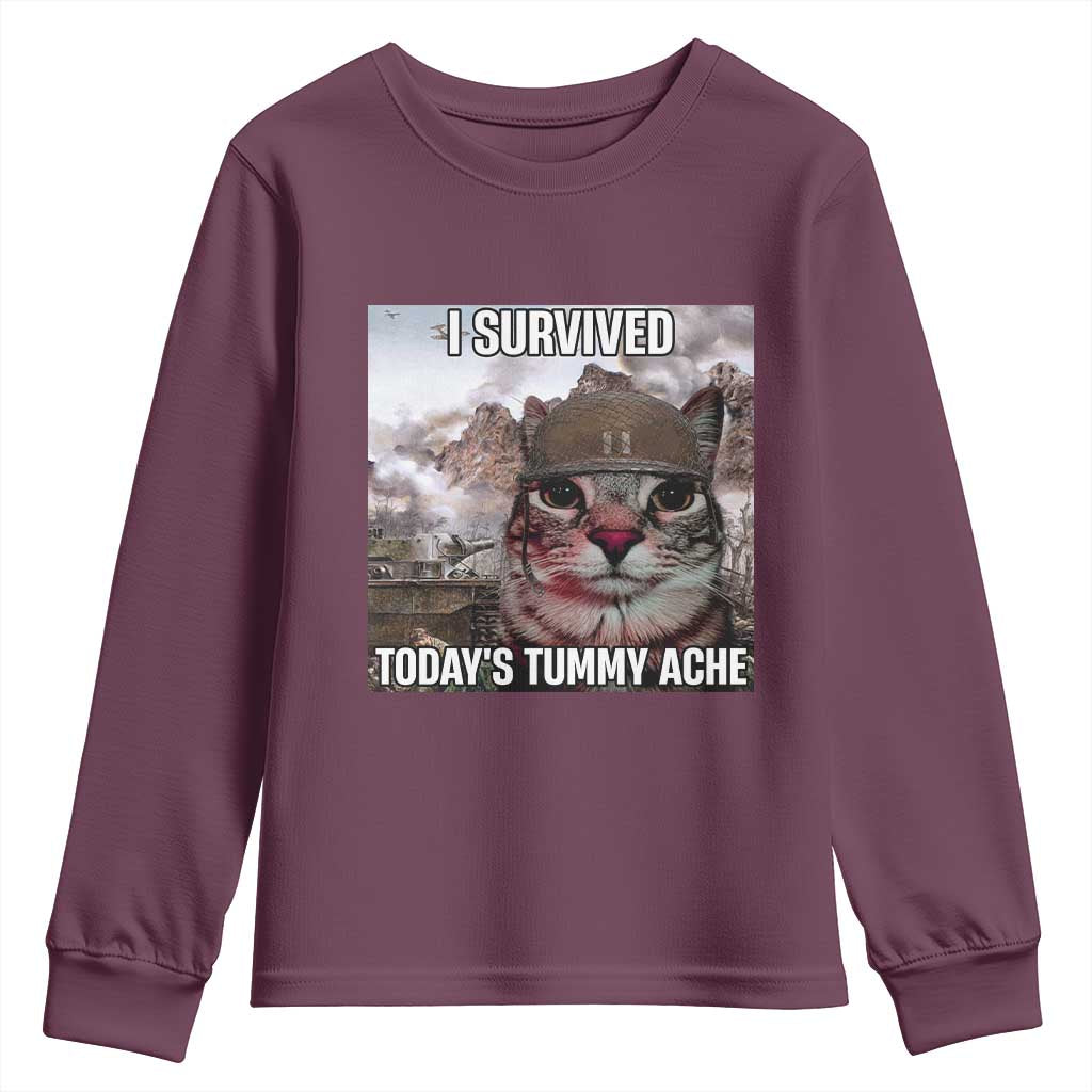 Funny I Survived Todays Tummy Ache Youth Sweatshirt War Cat Meme TS11 Maroon Print Your Wear