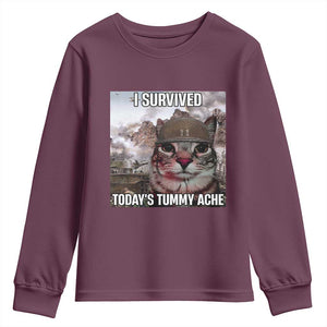 Funny I Survived Todays Tummy Ache Youth Sweatshirt War Cat Meme TS11 Maroon Print Your Wear