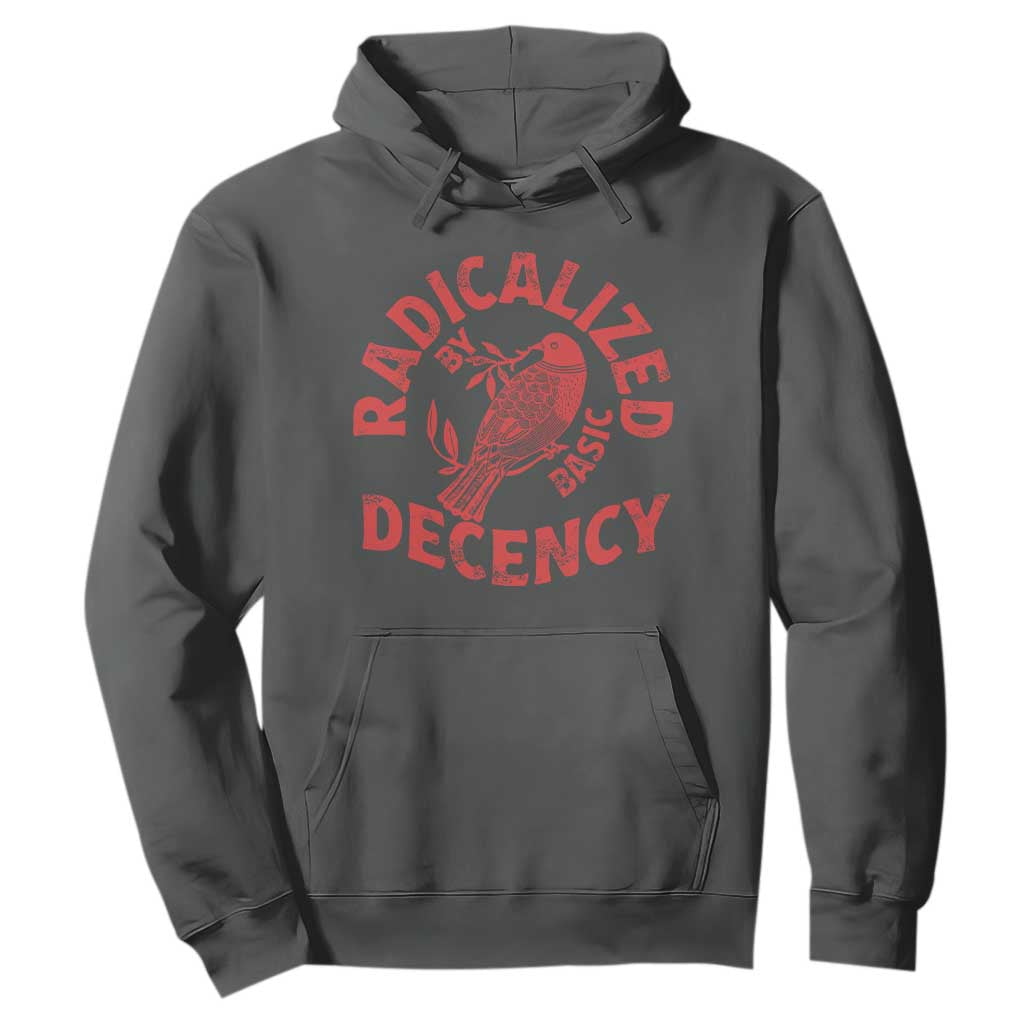 Radicalized By Basic Decency Hoodie Feminist Activist TS11 Dark Heather Print Your Wear
