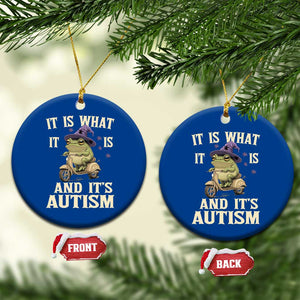 Funny It Is What It Is And It's Autism Ceramic Ornament Meme Autism Awareness Frog TS11 1pc Blue Print Your Wear