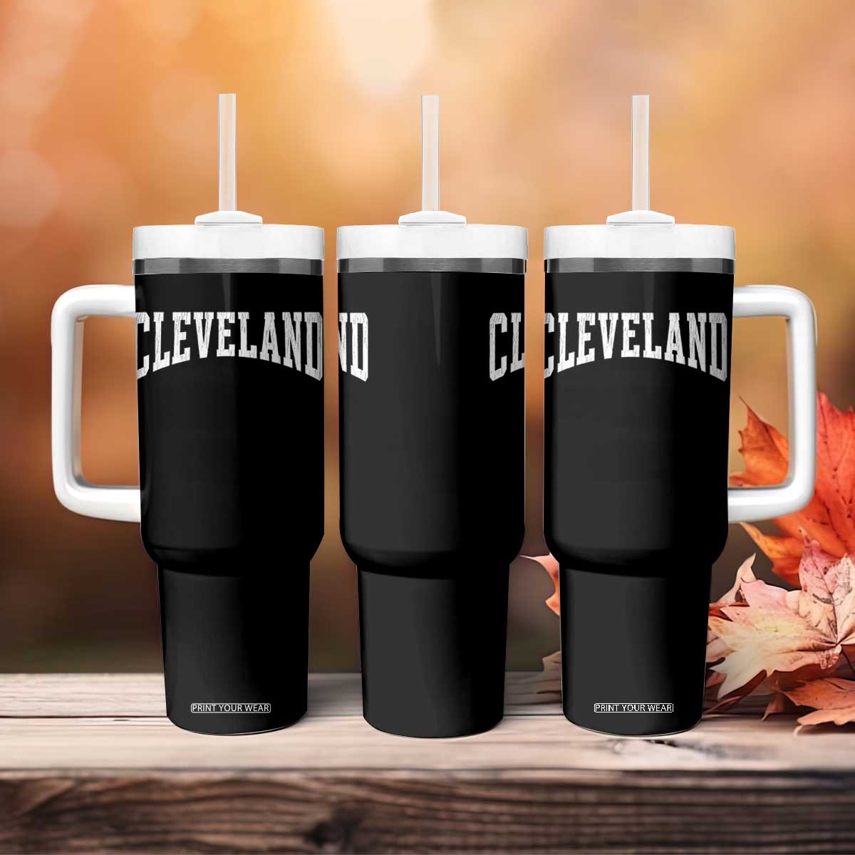 Cleveland Ohio OH City Throwback Design Vintage Tumbler With Handle TS11 Print Your Wear