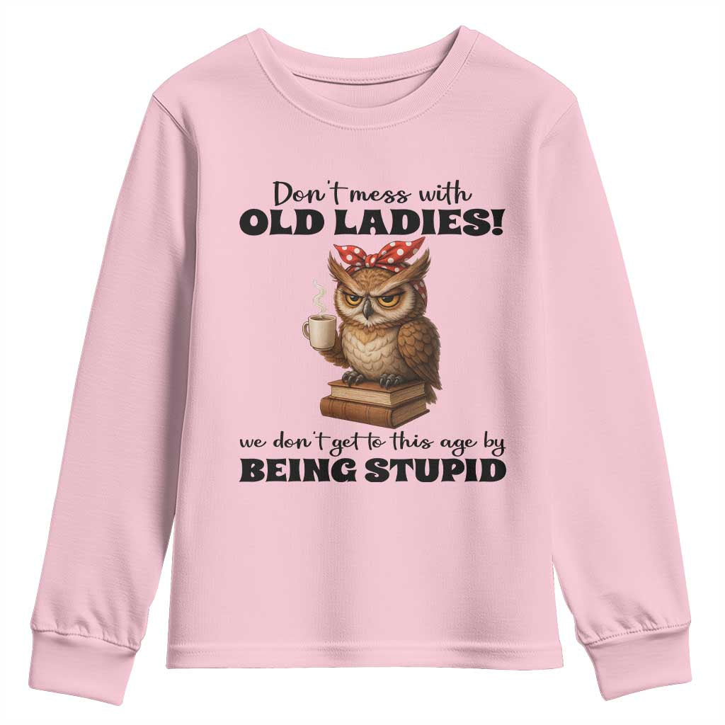 Dont Mess With Old Ladies We Dont Get To This Age By Being Stupid Youth Sweatshirt Cute Owl TS11 Light Pink Print Your Wear