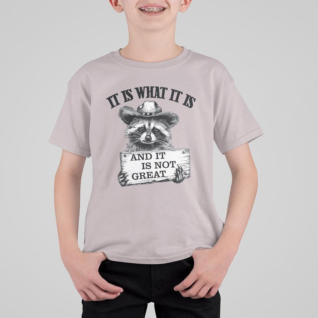 Funny Raccoon T Shirt For Kid It Is What It Is And It Is Not Great Text Display Board TS11 Ice Gray Print Your Wear