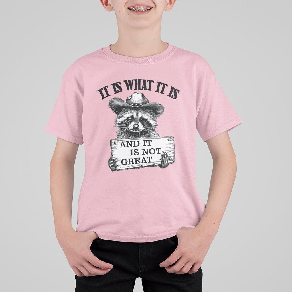 Funny Raccoon T Shirt For Kid It Is What It Is And It Is Not Great Text Display Board TS11 Light Pink Print Your Wear
