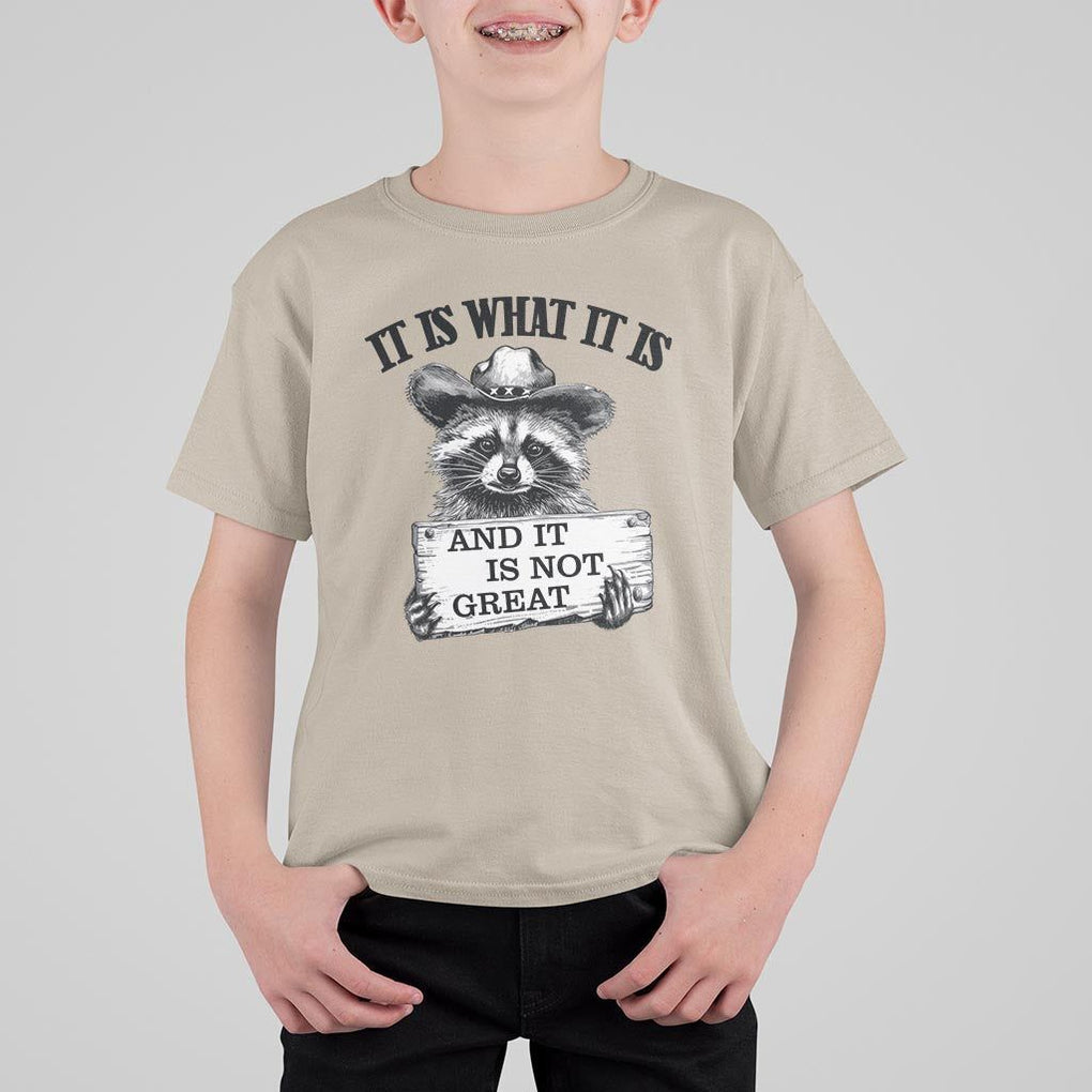 Funny Raccoon T Shirt For Kid It Is What It Is And It Is Not Great Text Display Board TS11 Sand Print Your Wear