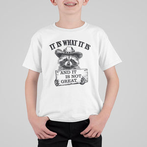 Funny Raccoon T Shirt For Kid It Is What It Is And It Is Not Great Text Display Board TS11 White Print Your Wear