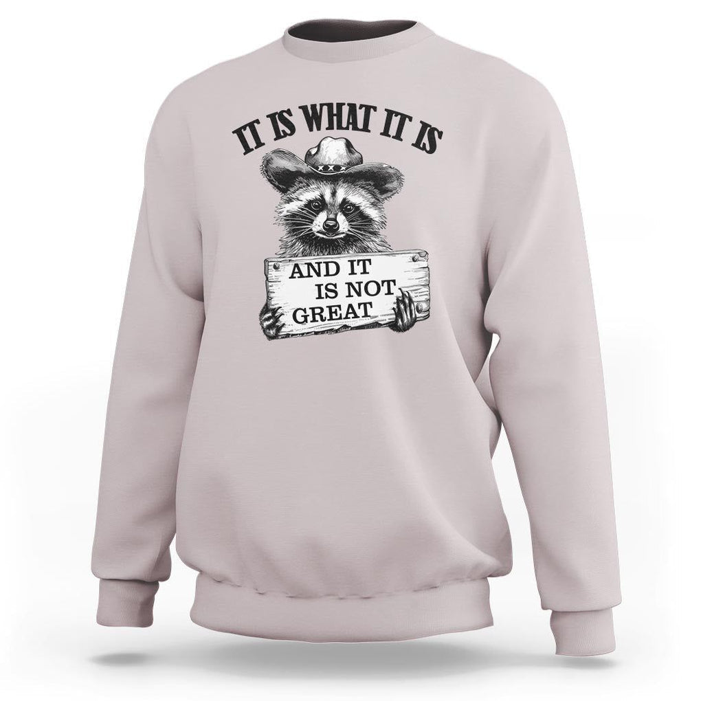 Funny Raccoon Sweatshirt It Is What It Is And It Is Not Great Text Display Board TS11 Ice Gray Print Your Wear
