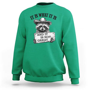 Funny Raccoon Sweatshirt It Is What It Is And It Is Not Great Text Display Board TS11 Irish Green Print Your Wear