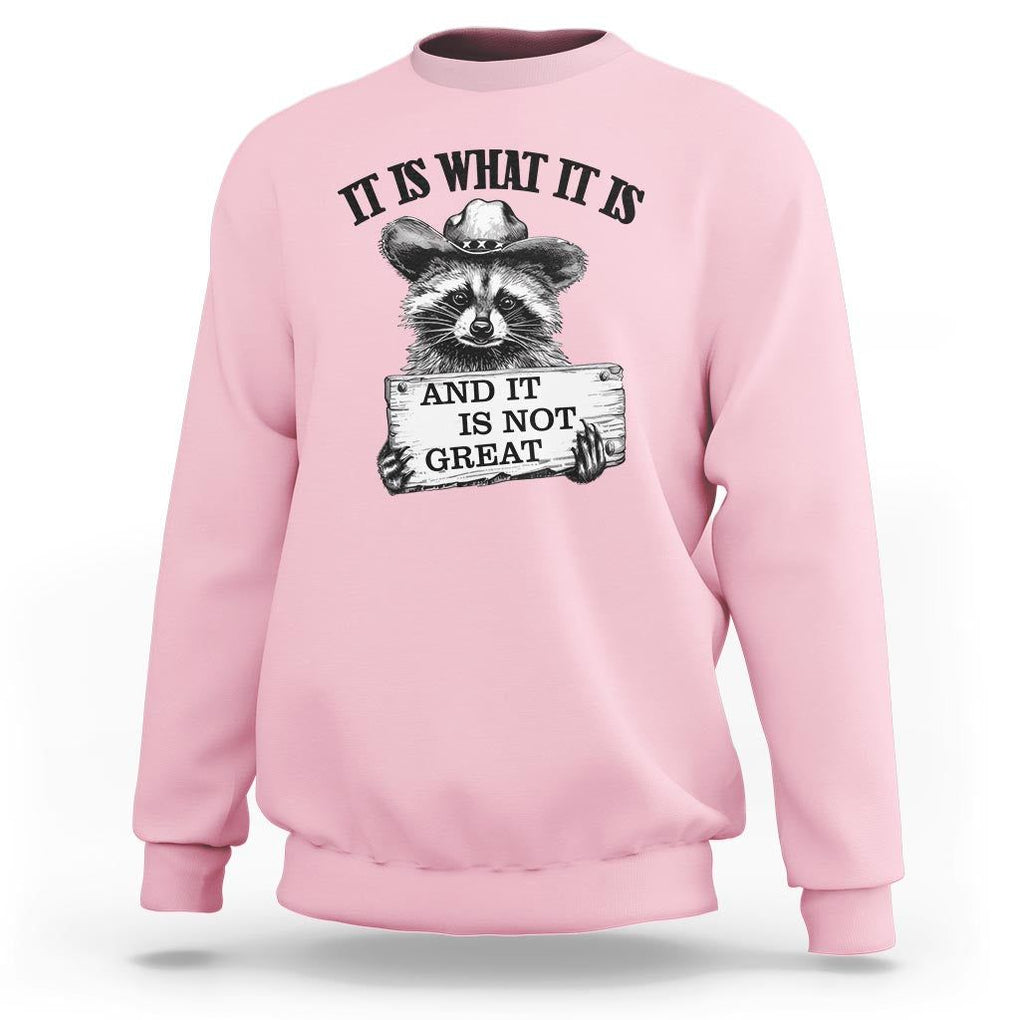 Funny Raccoon Sweatshirt It Is What It Is And It Is Not Great Text Display Board TS11 Light Pink Print Your Wear