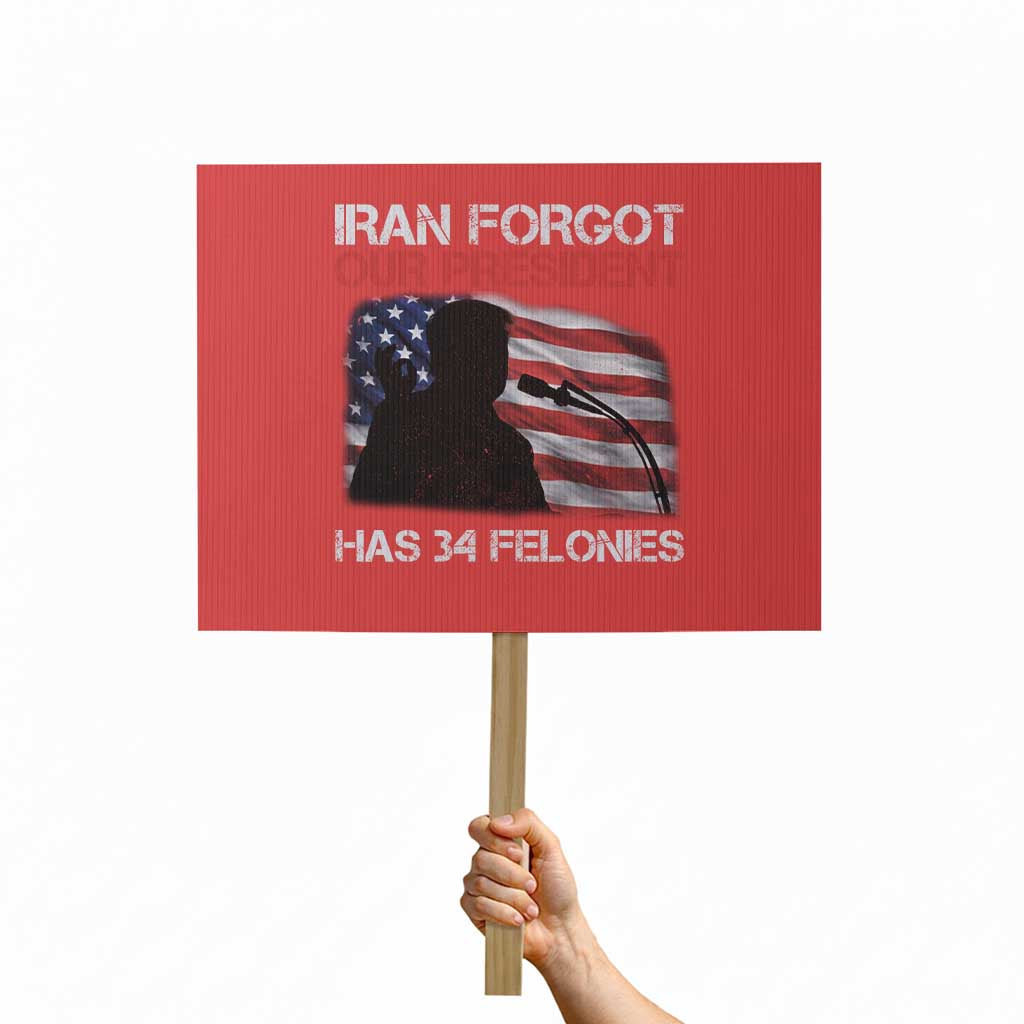 Iran Forgot Our President Has 34 Felonies Protest Sign Funny Political Satire Vintage American Flag TS11 Horizontal 18