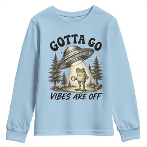 Funny Frog Alien Abduction Youth Sweatshirt Gotta Go Vibes Are Off UFO Forest TS11 Light Blue Print Your Wear
