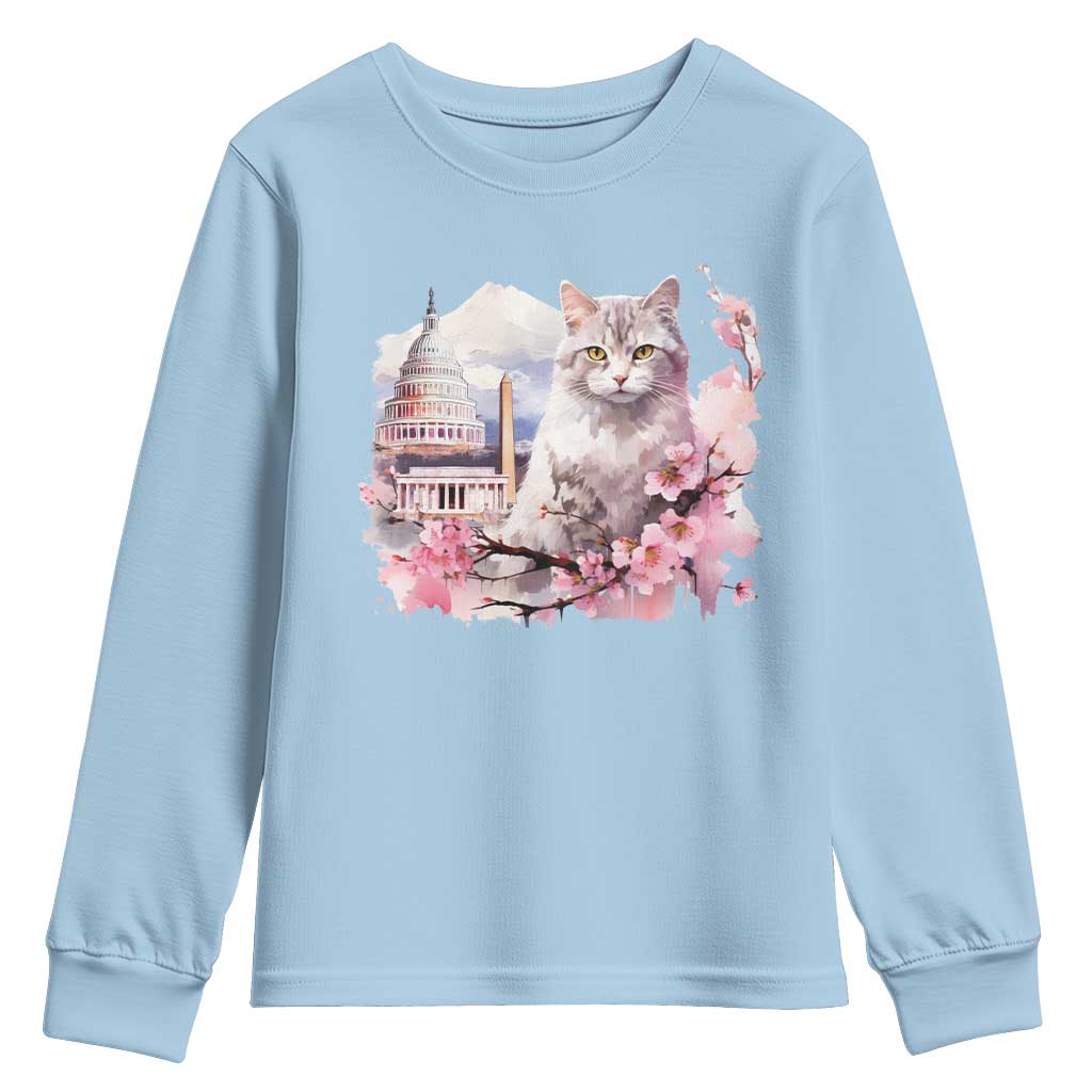 Washington DC Cat Cherry Blossoms Youth Sweatshirt Capitol Building Monuments Memorials Sakura TS11 Light Blue Print Your Wear