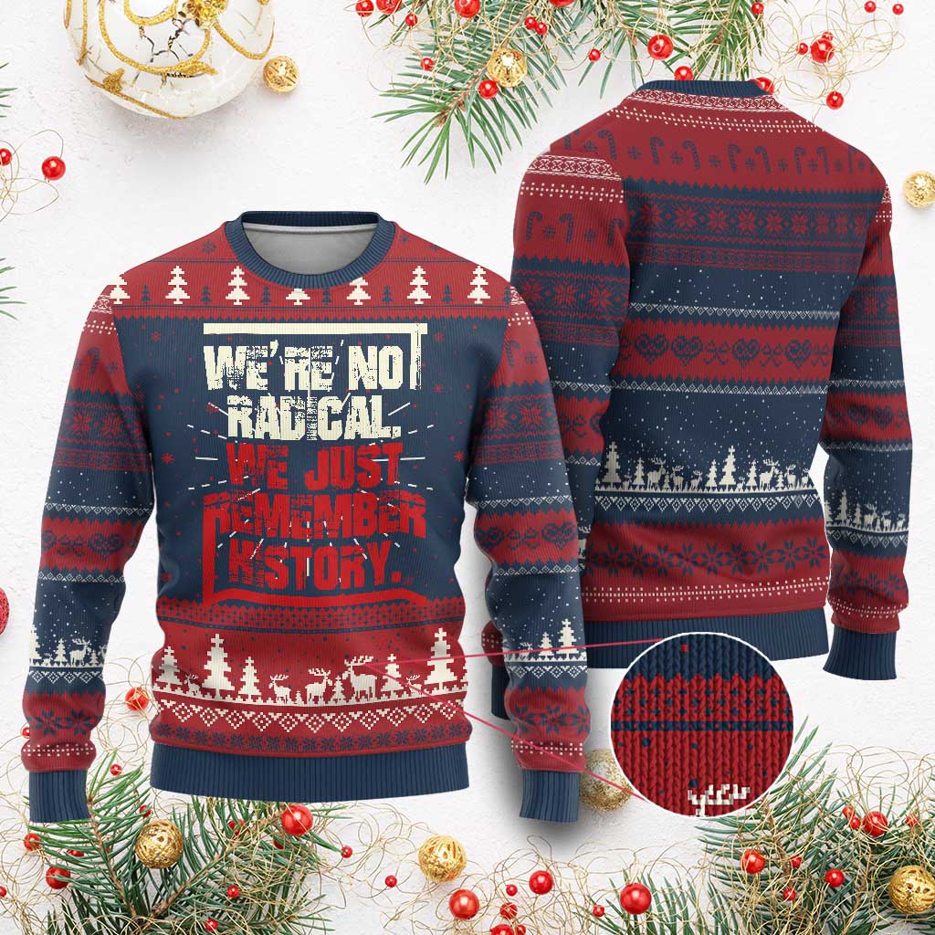 We Are Not Radical We Just Remember History Knit Sweatshirt TS11 Burgundy Print Your Wear