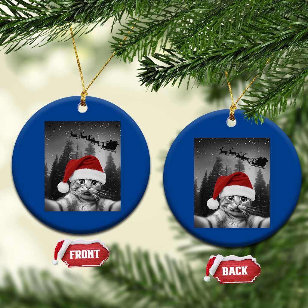 Funny Cat Selfie With Santas Sleigh Christmas Ceramic Ornament TS11 1pc Blue Print Your Wear
