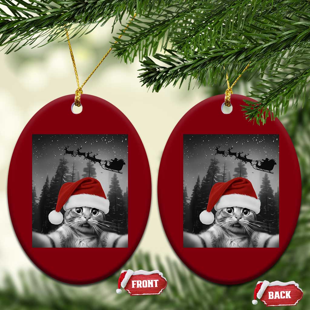 Funny Cat Selfie With Santas Sleigh Christmas Ceramic Ornament TS11 Print Your Wear