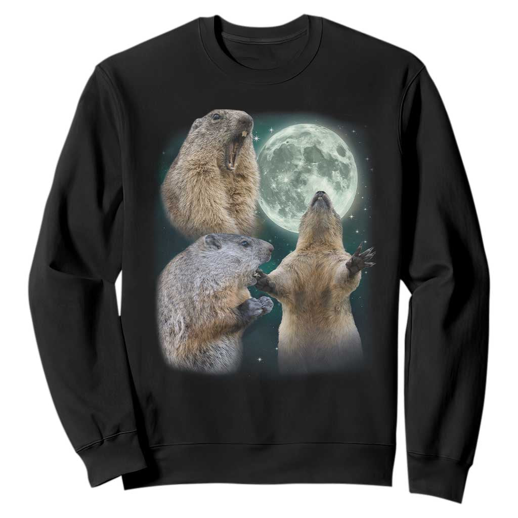 Funny Three Groundhog Moon Groundhog Day Meme Sweatshirt TS11 Black Print Your Wear
