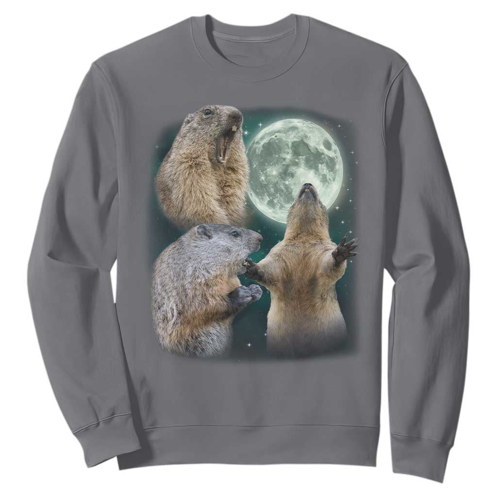 Funny Three Groundhog Moon Groundhog Day Meme Sweatshirt TS11 Charcoal Print Your Wear