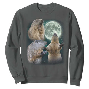 Funny Three Groundhog Moon Groundhog Day Meme Sweatshirt TS11 Dark Heather Print Your Wear