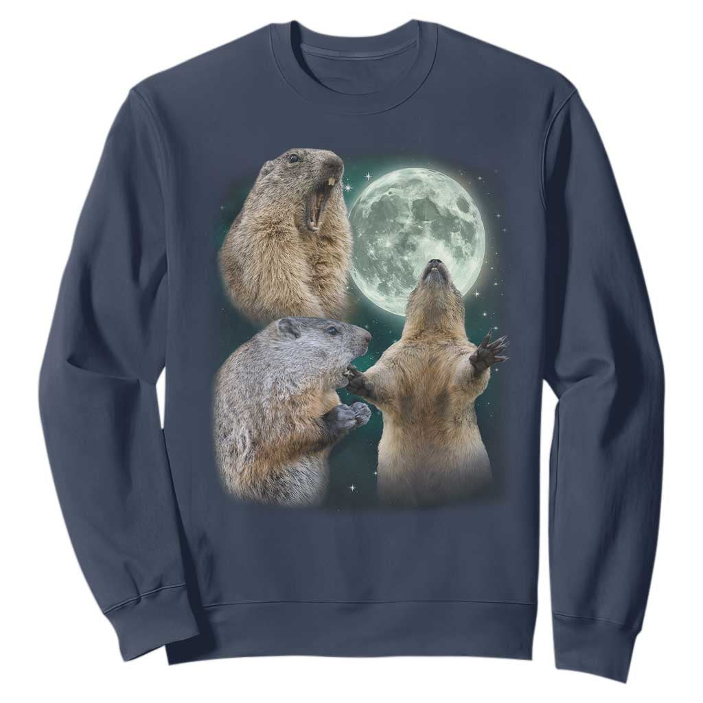 Funny Three Groundhog Moon Groundhog Day Meme Sweatshirt TS11 Navy Print Your Wear