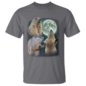 Funny Three Groundhog Moon Groundhog Day Meme T Shirt TS11 Charcoal Print Your Wear